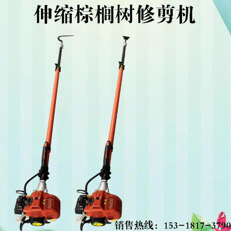 市政绿化棕榈树修理修剪机 2-4米伸缩加长杆汽油棕榈机 高枝油锯