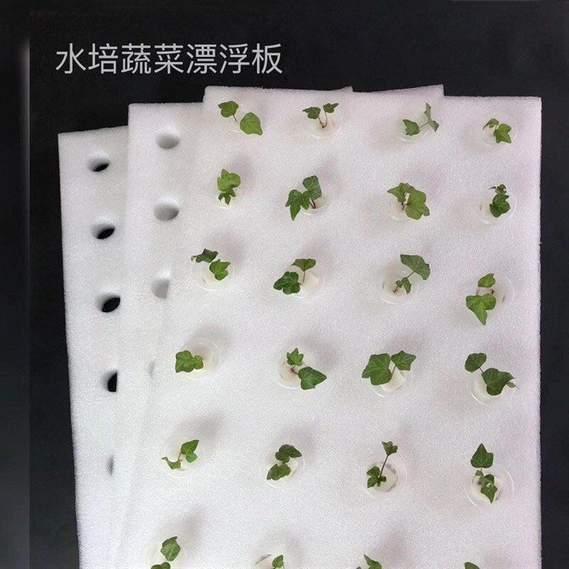 厂家水培器皿漂浮板定植板无土栽培设备水上温室种菜水培泡沫板种