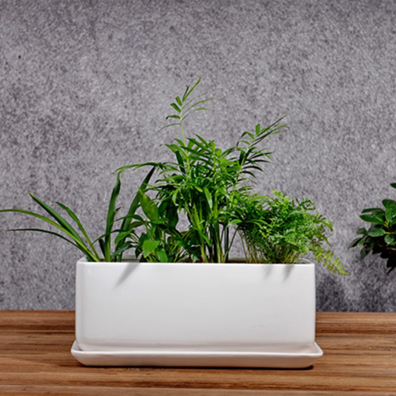 一个大号长方形30厘米带底盘底托花盆阳台种菜盆白色红色黑色