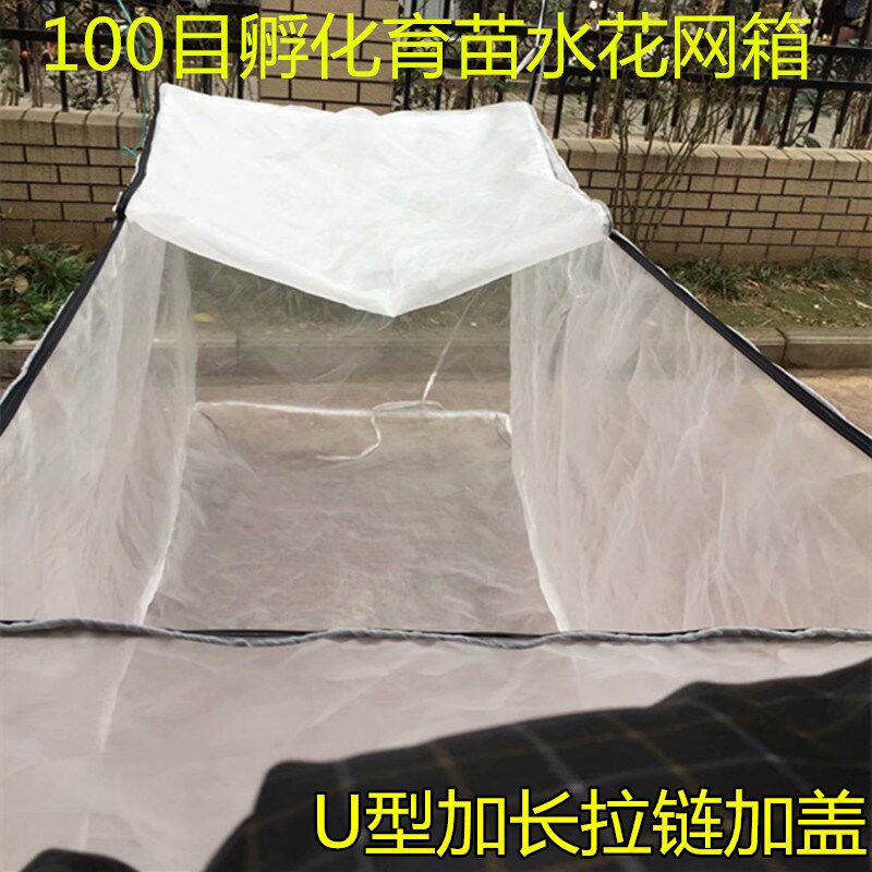 孵化育苗网箱 水花鱼花养殖网箱 泥鳅黄鳝鱼苗产卵网箱 100目带盖
