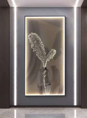 入户led灯轻奢羽毛玄关画客厅沙发落地画奶油风挂画现代简约壁画