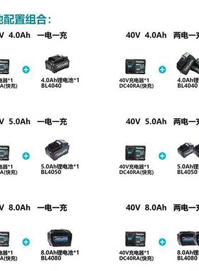 牧田HM001GM202充电式电镐SDS-MAX五坑柄减震防过载40V4.0AH两电