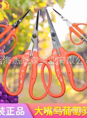近正大嘴鸟WOTchik葡amsa镊a剪萄剪摘果水果剪阳光玫瑰葡萄剪