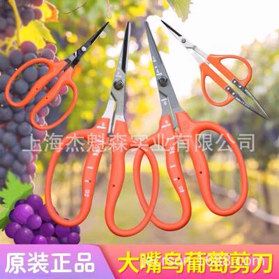 近正大嘴鸟WOTchik葡amsa镊a剪萄剪摘果水果剪阳光玫瑰葡萄剪
