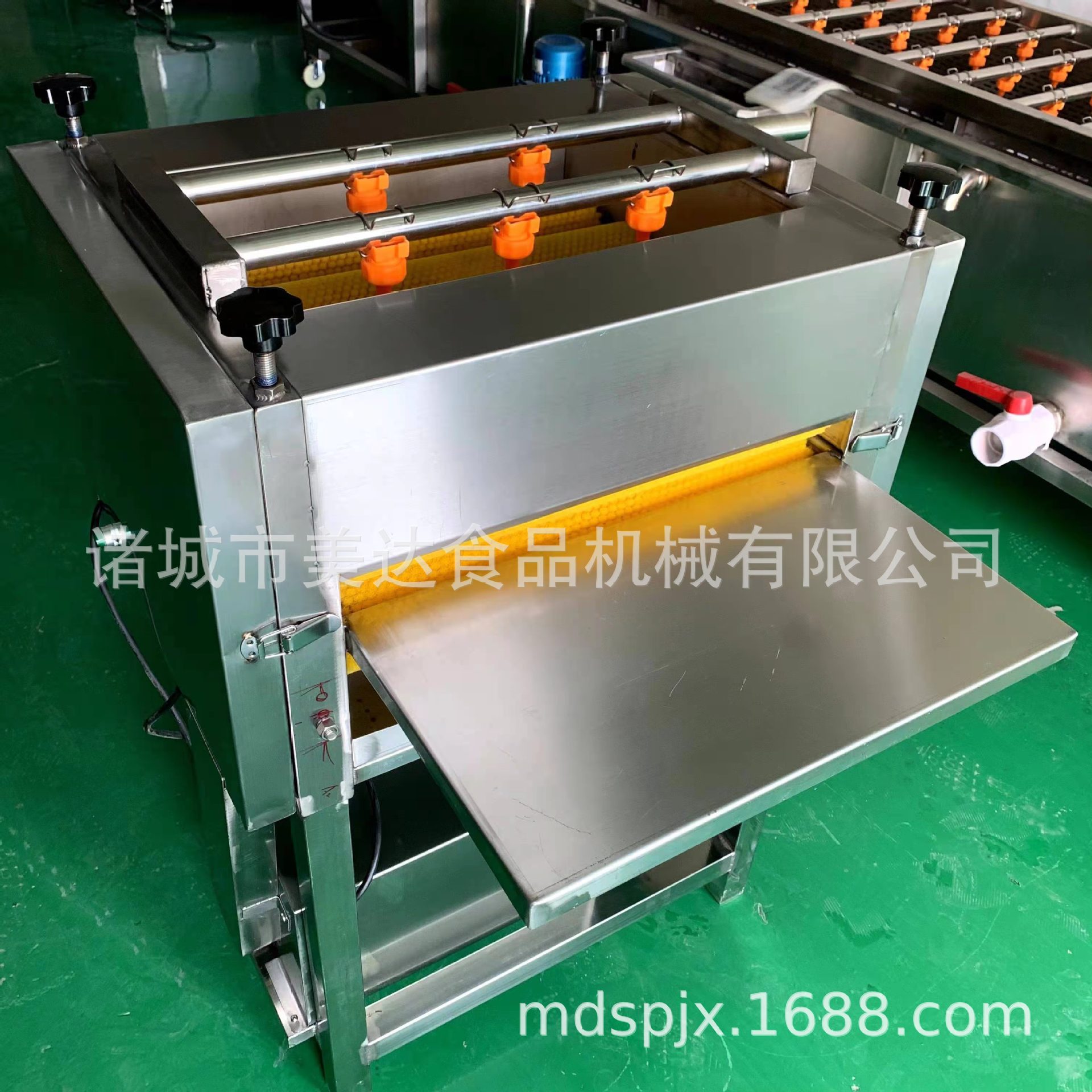 粽叶清洗机 新鲜芦苇叶洗杂质设备 全自动芭蕉叶清洗机器