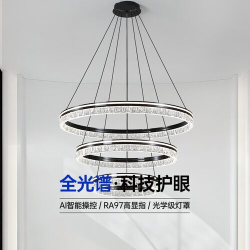 2026新款创意圆环意式极简轻奢中山灯具简约现代客厅主灯大厅吊灯