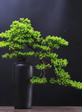 仿样真客松盆景花架摆件饰迎品新中式客厅面植物假盆栽板MP0127间