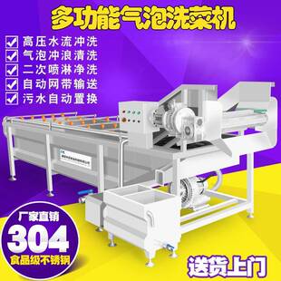 厂萄家现女果清洗机商用蓝莓清洗机圣全货QJW自动葡气泡清洗机
