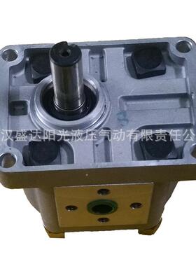 江肥苏淮安万科合CBN-F325长源CNB-F35CB2N-E308高压齿轮泵油泵