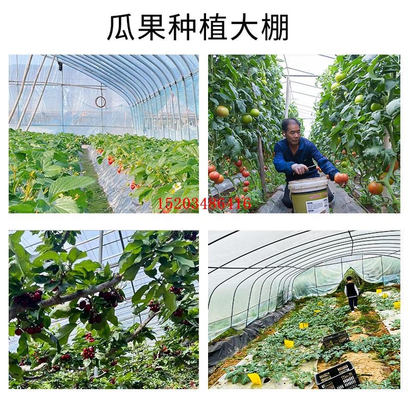 温室大棚骨架钢管养殖种植家用全猪鸡舍钢架连栋配件简易蔬菜棚