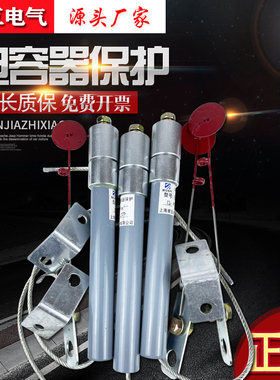 高压熔断器BR2 BRN BRW-10-12KV并联电容器30A40A50A70A80A保险丝