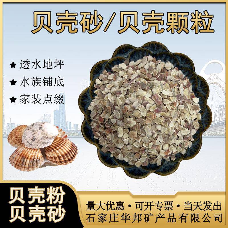 供应贝壳砂透水地坪点缀贝壳颗粒鱼缸水族装饰贝壳碎片