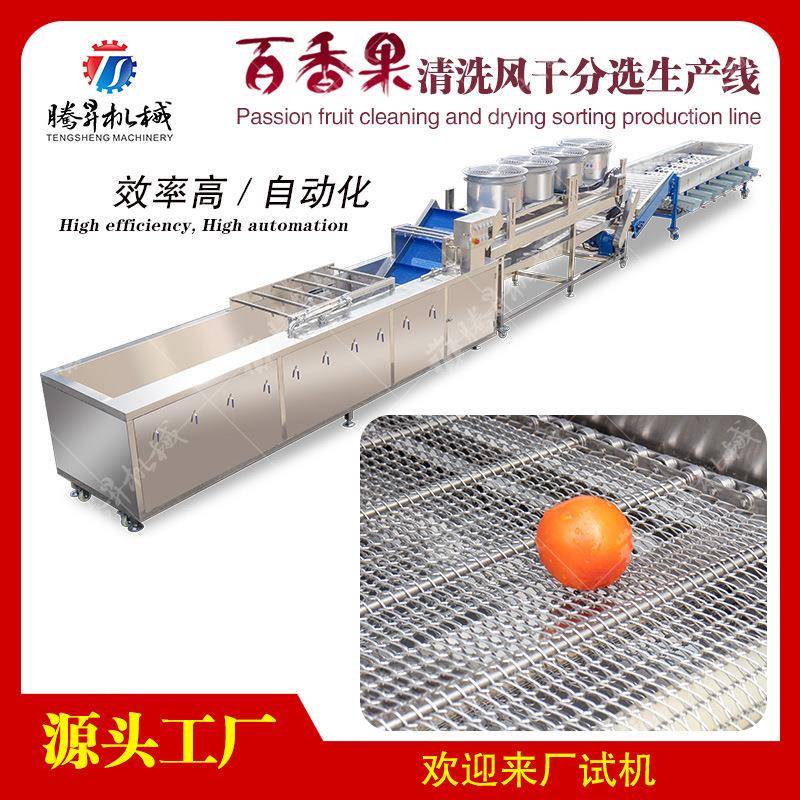瓜果类加工机械 水果清洗风干分选生产线 百香果加工