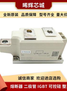 SKKH460/22EH4 SKKH500/08E现货 晶闸管与可控硅型号齐全标准封装
