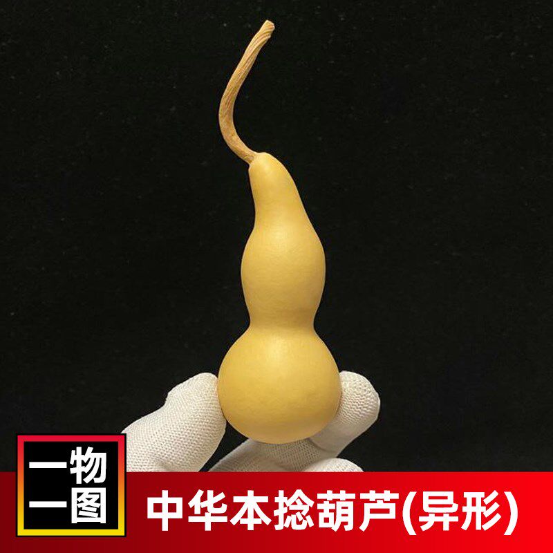 [一物一图]中华本捻异形小葫芦文玩手捻手把件奇形烙画练手摆件