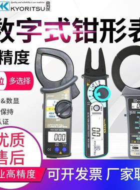 日本/钳形表2002PA/R/2413F/2056R钳型多用表