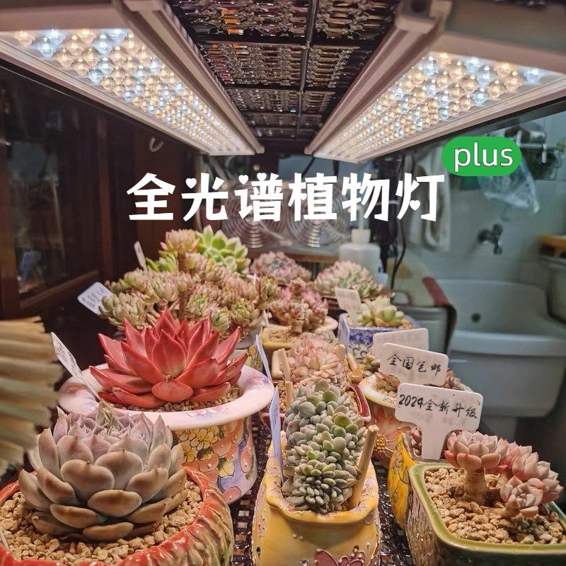 全光谱多肉绿植补光灯LED防陡长室内阳台T20植物补光灯管生长灯