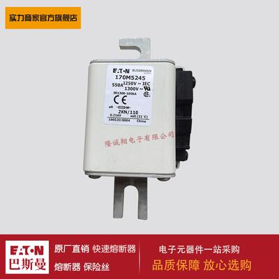 熔断器170M5243 170M5244 170M5245 170M5246 170M5247 170M5248