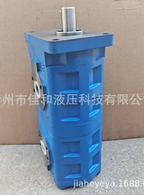 渔船双联齿轮泵 CBGJ3160/3125