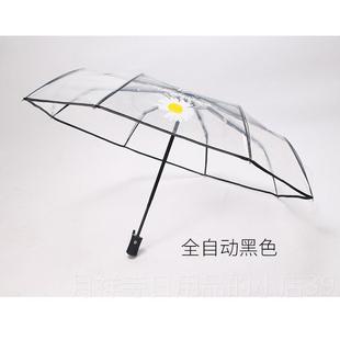 高档雏菊新全自动网红透明雨伞 折叠日本小清森系学ins美小少女神