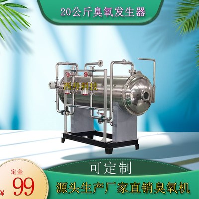 10公斤臭氧发生器20公斤臭氧机污水退税废气处理工业臭氧消毒设备