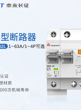 MB2L-63C漏电保护开关63A50长九32A40泰永长征16A空开4断路器1P+N