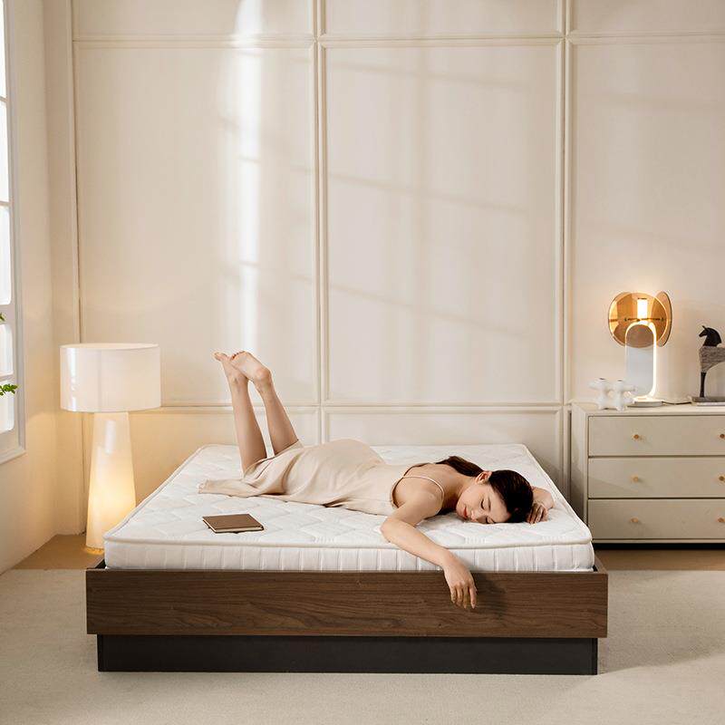 记忆棉床垫租房家用榻榻米单人学生宿舍薄垫子地铺软床褥海绵加厚