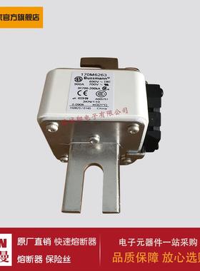 熔断器170M6262 170M6263 170M6264 170M6265 170M6266 170M6267