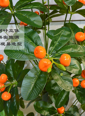 假水果树仿真绿色植物招财果金桔果摇钱果家居室内装饰摆件客厅盆