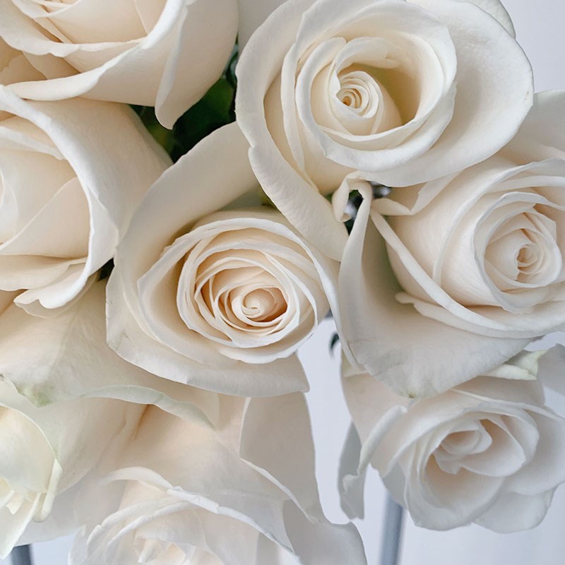 稀有出口芬得拉玫瑰鲜花花束奶油白温柔可爱插花水养家用活动布置