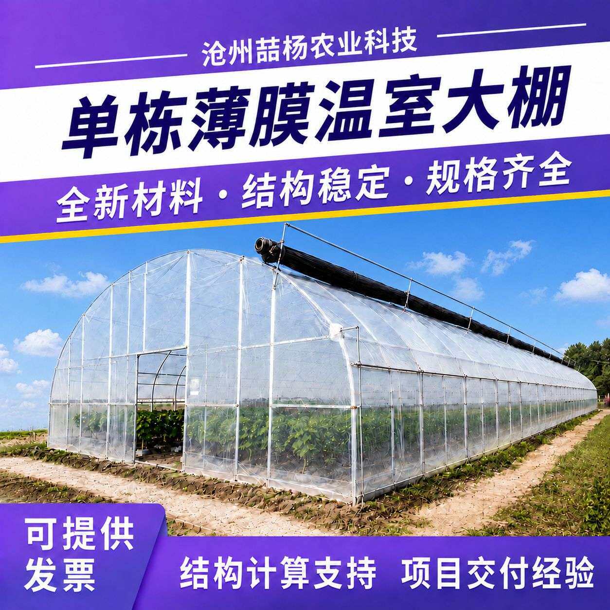 单栋薄膜温室大棚防雨暖棚养殖种植大棚单体智能温室大棚薄膜大棚