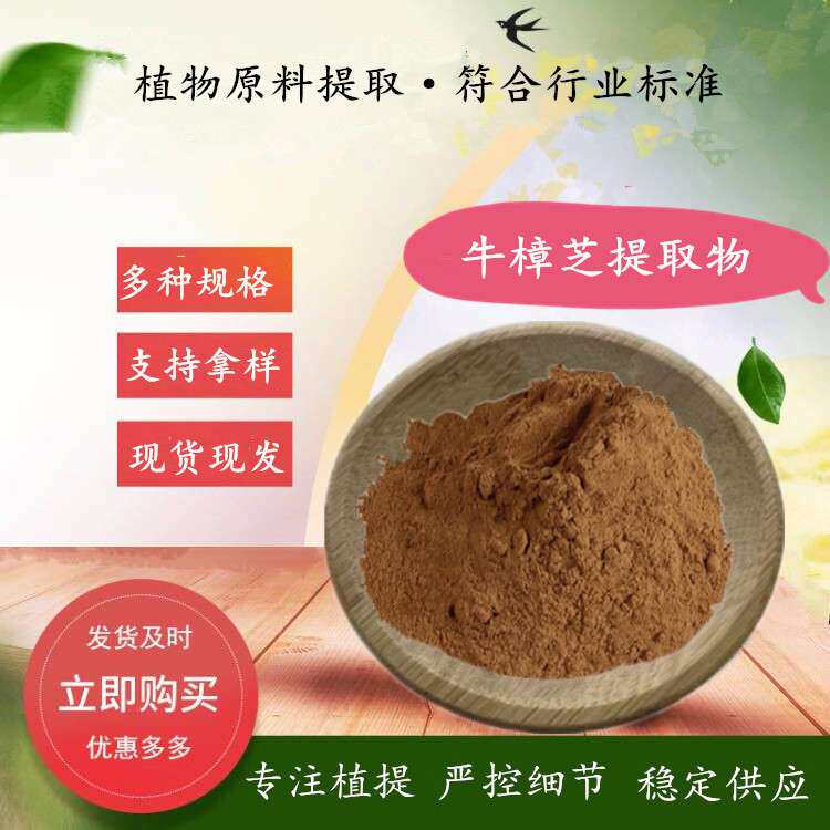 牛樟芝提取物 水溶牛樟芝粉 牛樟菇/樟菇/樟芝提取物 厂家规格全