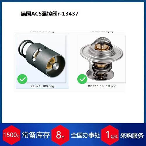 供应德国温控阀 X1.241.30.000 用于风电行业的管道安装