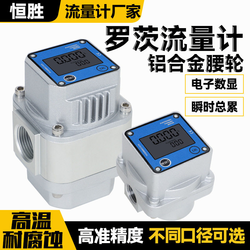 高精度气体流量计天然气氧气压缩空气气体腰轮电子数显罗茨流量计