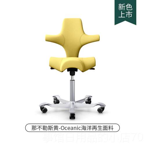 高档挪威进口HA Capisco骑马真皮款人体工学电脑办椅 羊G毛软包护