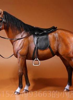 正品物Mr.Z1/6汉诺威温血马真动模型高档mz马模型仿骏r马摆件兵人