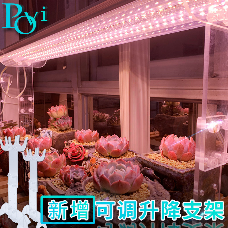 珀誉 多肉补光灯上色全光谱家用防徒仿太阳花卉室内led植物生长灯