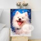泰迪萨摩耶宠物狗狗DIY数字油画手工绘填充涂色丙烯油彩装 饰挂画