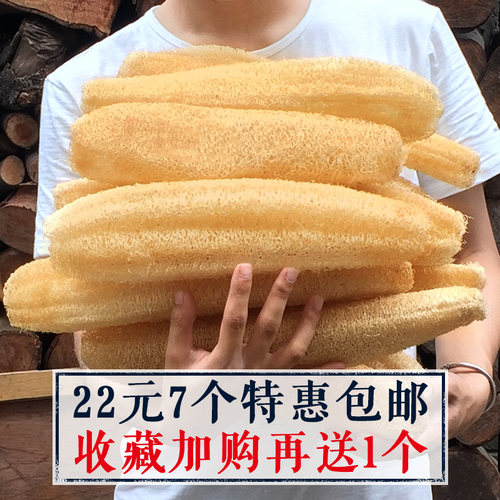 山区天然丝瓜络洗碗刷锅搓背洗澡下奶农家老干丝瓜瓤水瓜囊筋布皮