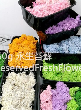 苔藓150克永生花精选干花包苔藓墙家居装饰DIY玻璃罩花盒填充材料