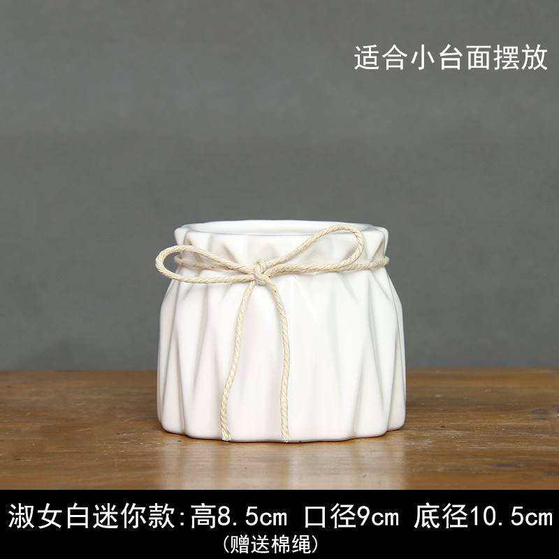 陶瓷花瓶插花大号小清新陶瓷白色水培花瓶透明玻璃花器摆件客厅干