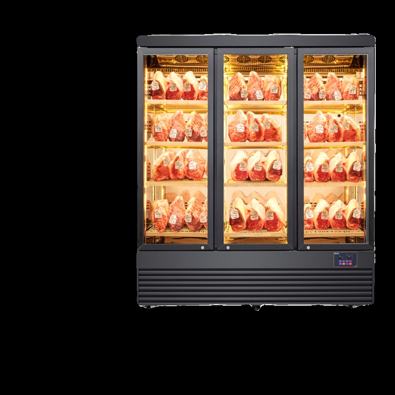 西餐厅牛排牛肉排酸柜冷藏冷冻恒温保鲜展示柜商用干湿式熟成柜超