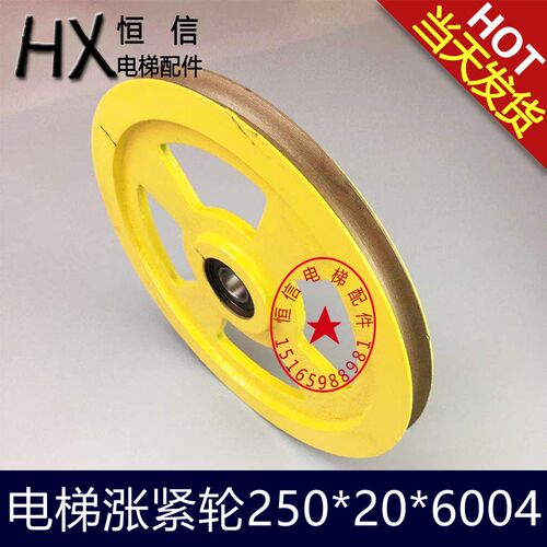 电梯涨紧轮250x20x6004 奥的斯250 240 限速器轴承6004 电梯配件