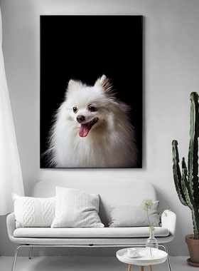 博美犬萌宠狗狗diy数字油彩画儿童卡通动物 手工填色涂鸦打发时间
