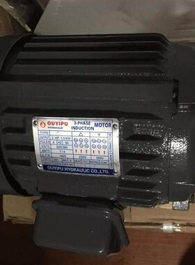台湾OUYIPU欧伊普电机CO2-43BO花键的1.5kw  C03-43BO P206RN01DT