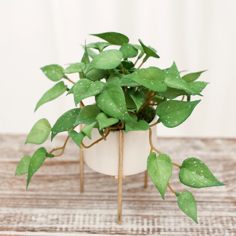 清新仿真绿植小盆景桌面摆件创意多肉盆栽装饰品绿植假花桌面摆设