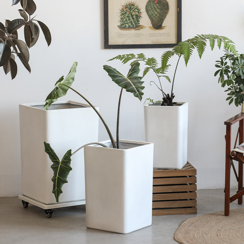 白色高款正方形仿水泥大花盆落地绿植客厅高筒特大号侘寂风花盆,鲜花速递/花卉仿真/绿植园艺,花盆,淘宝优惠券,粉丝福利购,淘宝优惠卷