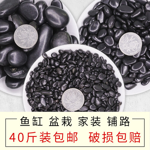 黑色鹅卵石瓜子米石造景多肉花盆铺面庭院造景装饰精抛光小黑石头