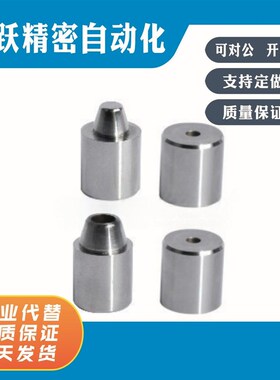 PAP01 11 21-D20 25 30 12 12C 16 16C 20 20C 25 25C 圆锥定位销