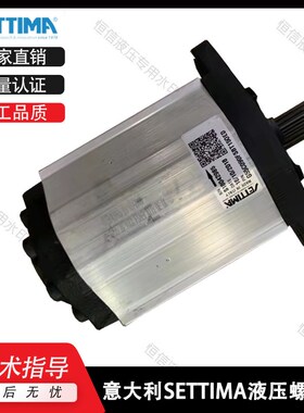 意大利SETTIMA螺杆泵GR28-2V-008-F1AC3 GR28-2V-010-F1AC3齿轮泵